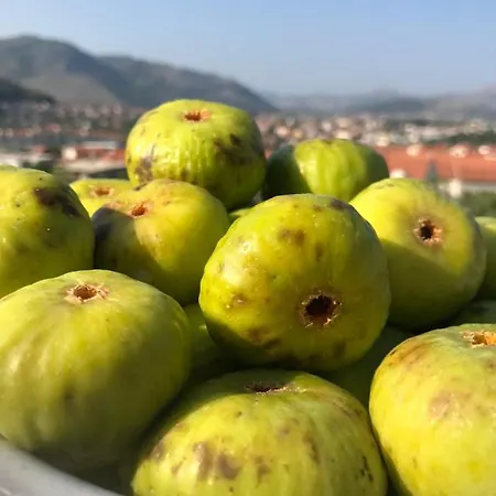 Apartamento Vizura *