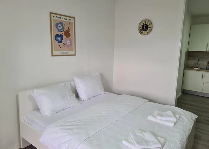 Apartman Vizura *