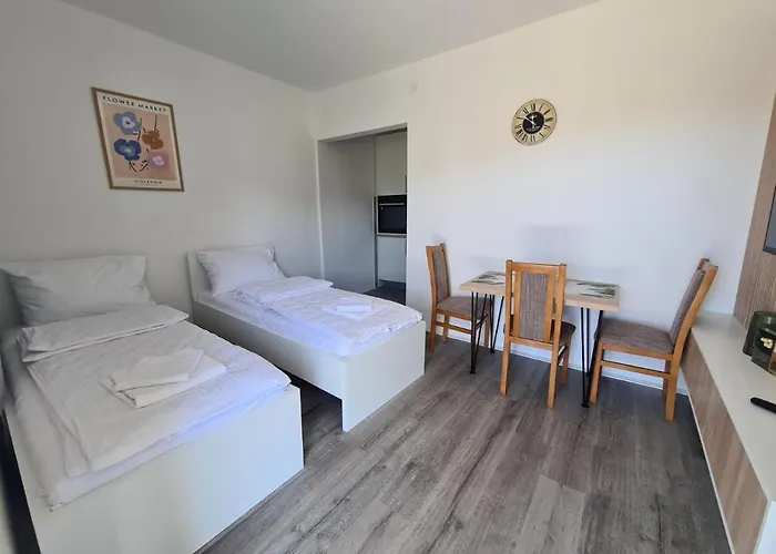 Apartman Vizura *