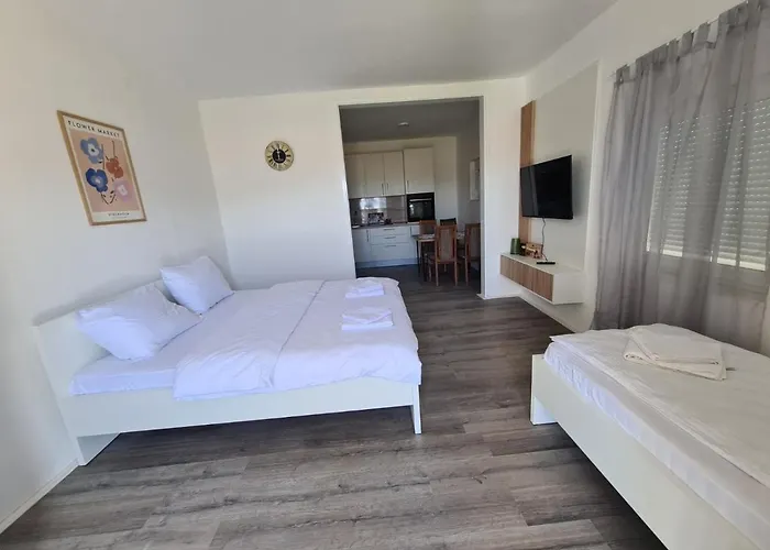 Apartman Vizura *
